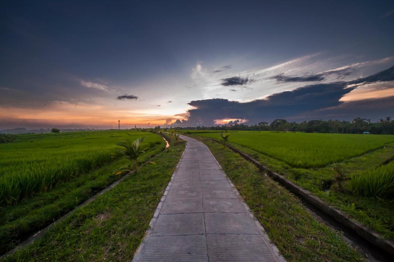 The Lebak Canggu Екстер'єр фото